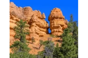 unique things about bryce canyon